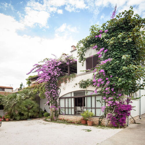 Apartments Nadia Rovinj  3