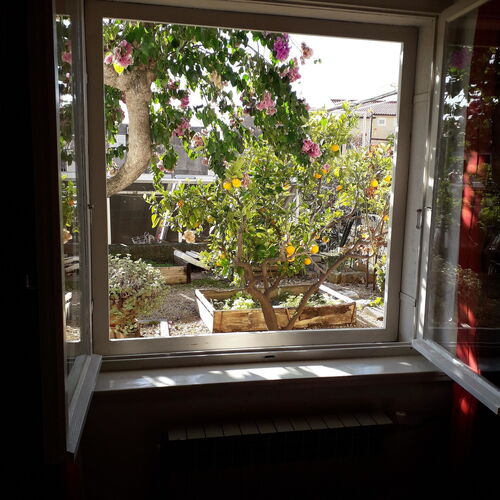 Apartment LEMONA Makarska  4