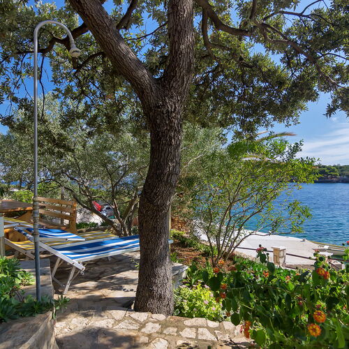 House Sea rose Zastrazisce  3
