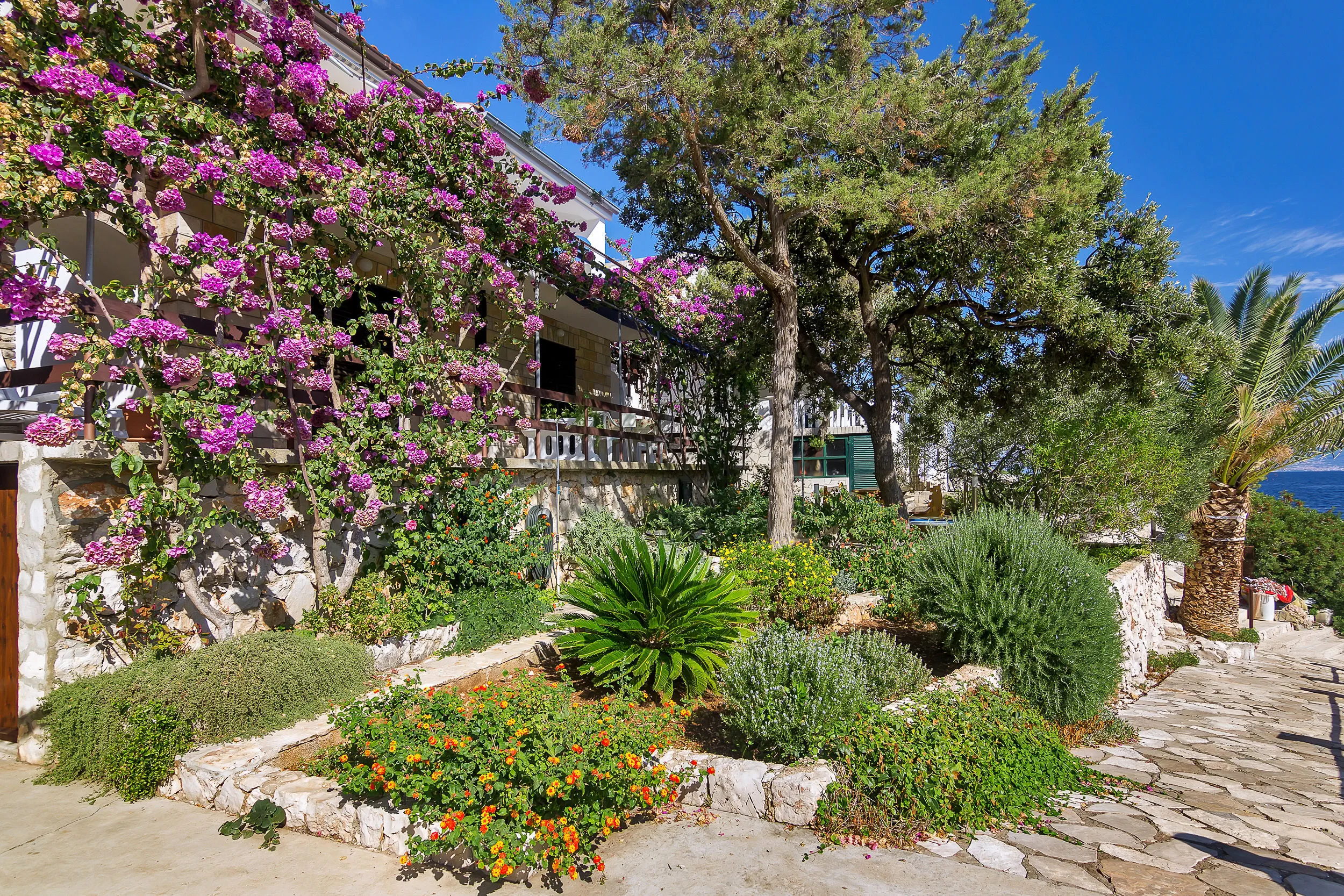 House Sea rose Zastrazisce