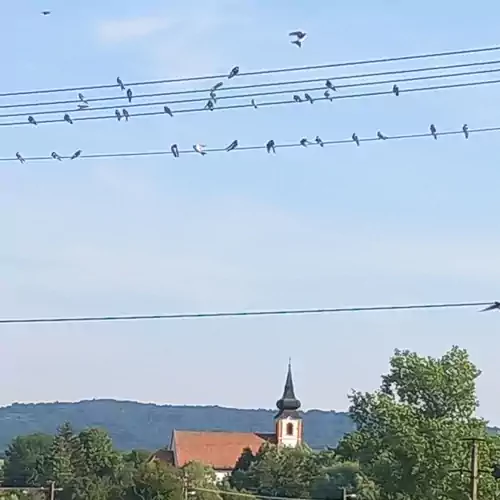 Szőlősor Vendégház Terény 015 kép