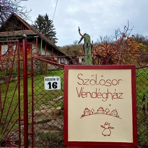 Szőlősor Vend&eacute;gh&aacute;z - autentikus n&eacute;vt&aacute;bla 