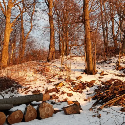 H&aacute;ts&oacute; kert