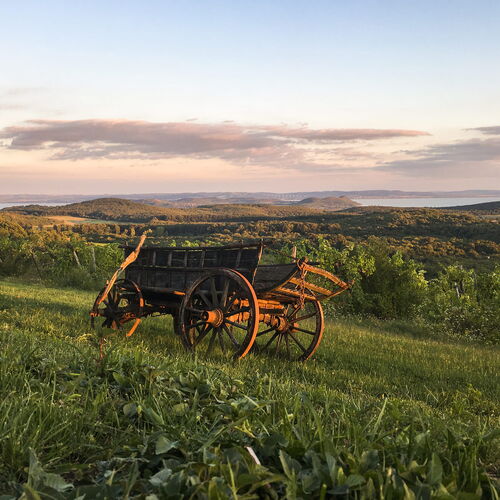 Hantos Pince Vendégház Balatonszőlős  2