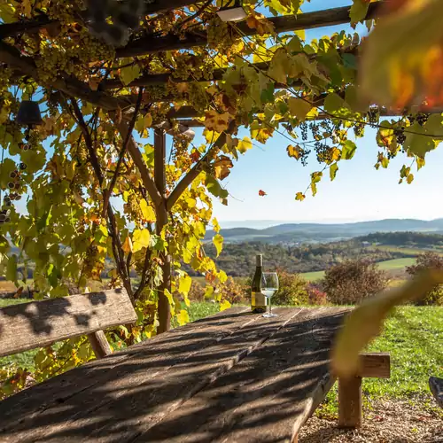 Hantos Pince Vendégház Balatonszőlő 019 kép