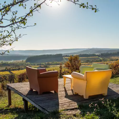 Hantos Pince Vendégház Balatonszőlő 021 kép