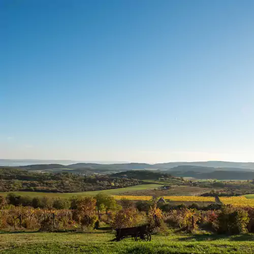 Hantos Pince Vendégház Balatonszőlő 028 kép