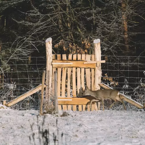 Galambszeri Vendégház Őriszentpéter 013 kép