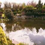 Wellness, relaks