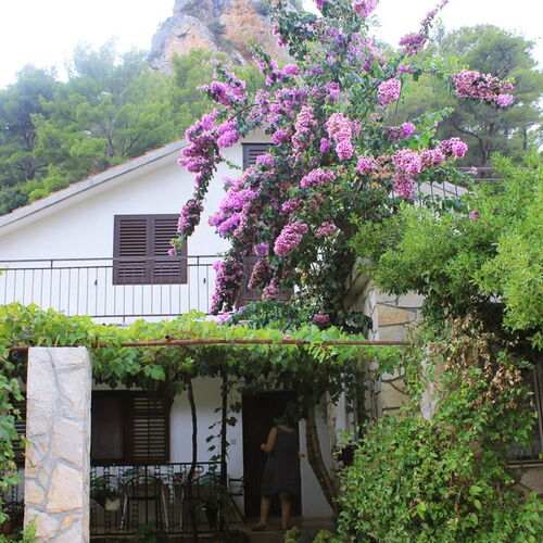 Apartmanok A Tenger Mellett Öböl Vela Stiniva, Hvar - 19951 Vela Stiniva  3