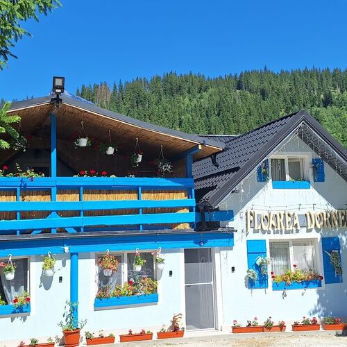 Pensiunea Floarea Dornei Șaru Dornei