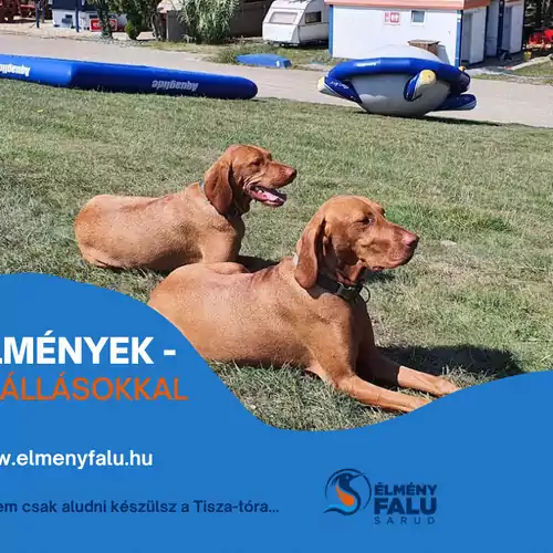 Kis Bukó Élményporta Sarud 006 kép