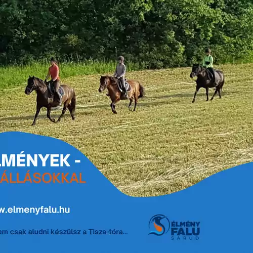 Kis Bukó Élményporta Sarud 010 kép