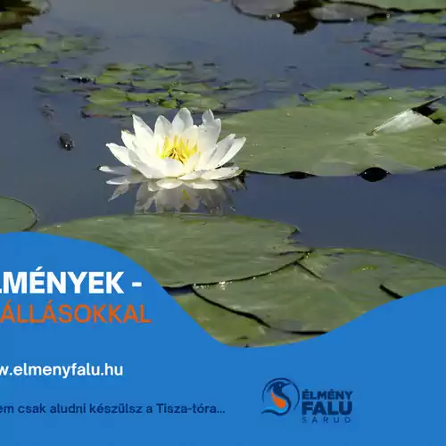 Kis Bukó Élményporta Sarud 025 kép