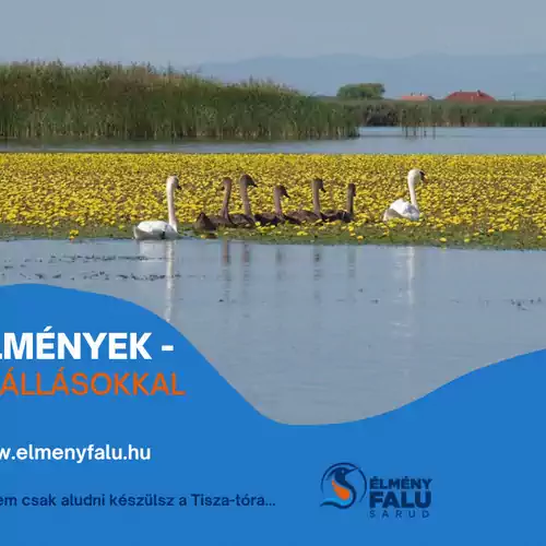 Kis Bukó Élményporta Sarud 026 kép