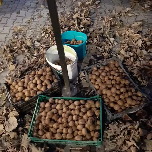 Varga Vendégház Tótszerdahely 006 kép