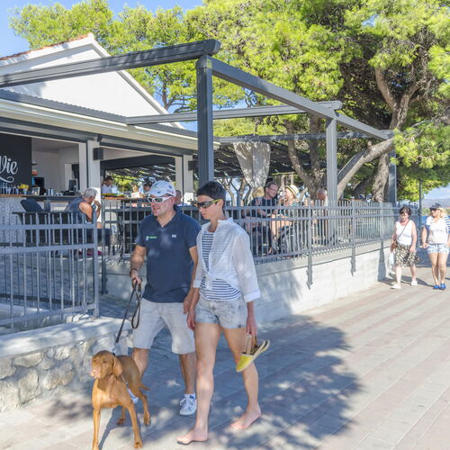 Apartment and Room Zoran Vodice  3