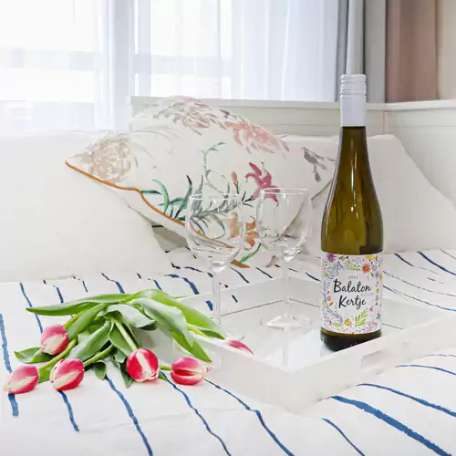 Silver Lodge Apartman Siófok 010 kép