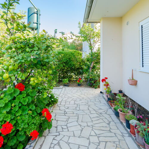 Apartment Nikola Barbat  3