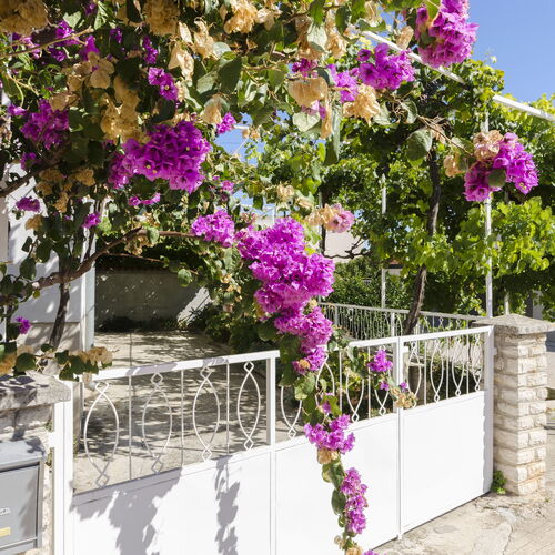 Apartment Roza Vodice  4
