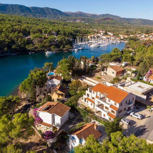 Apartment Flandria Vrboska  2