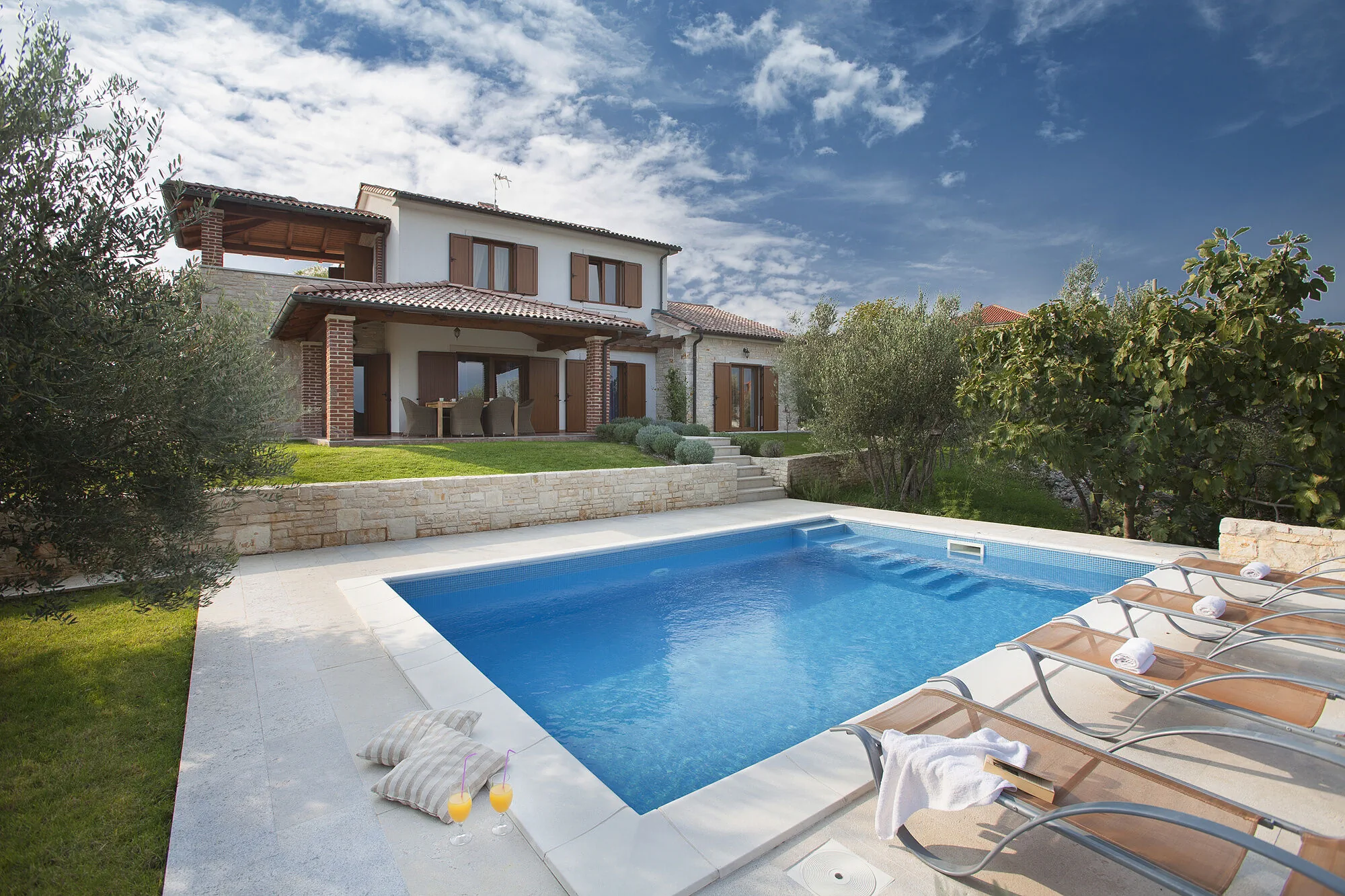 Beautiful Luxury Villa Maria Sužan