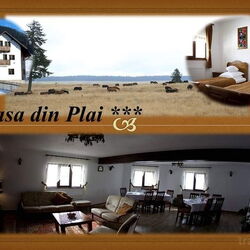 Casa din Plai Moldova-Sulița