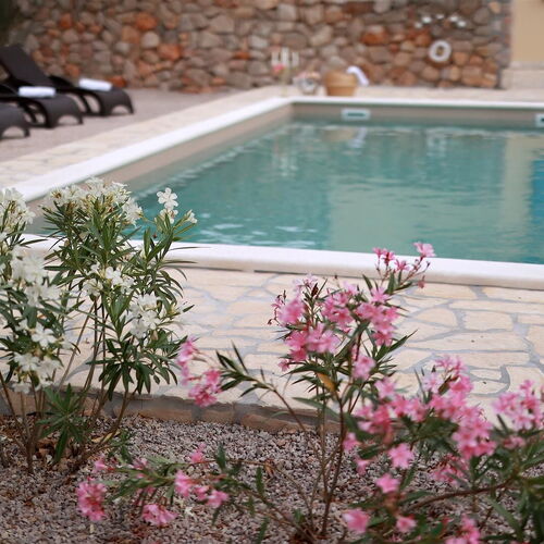 Villa Pinia Vrbnik Krk  3