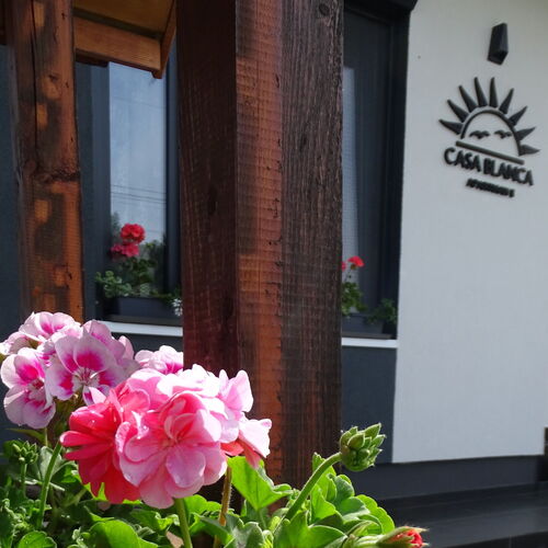 Casa Blanca Apartman II. Balatonfenyves  4