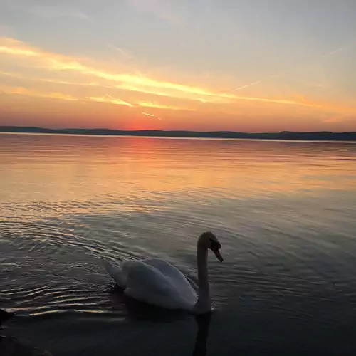 Zrínyi Vendégház Balatonszárszó 029 kép