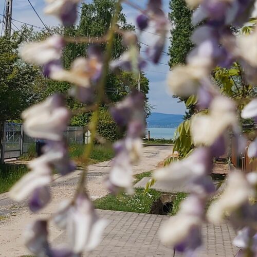 Jenna Apartments - Pinka Balatonszárszó  3
