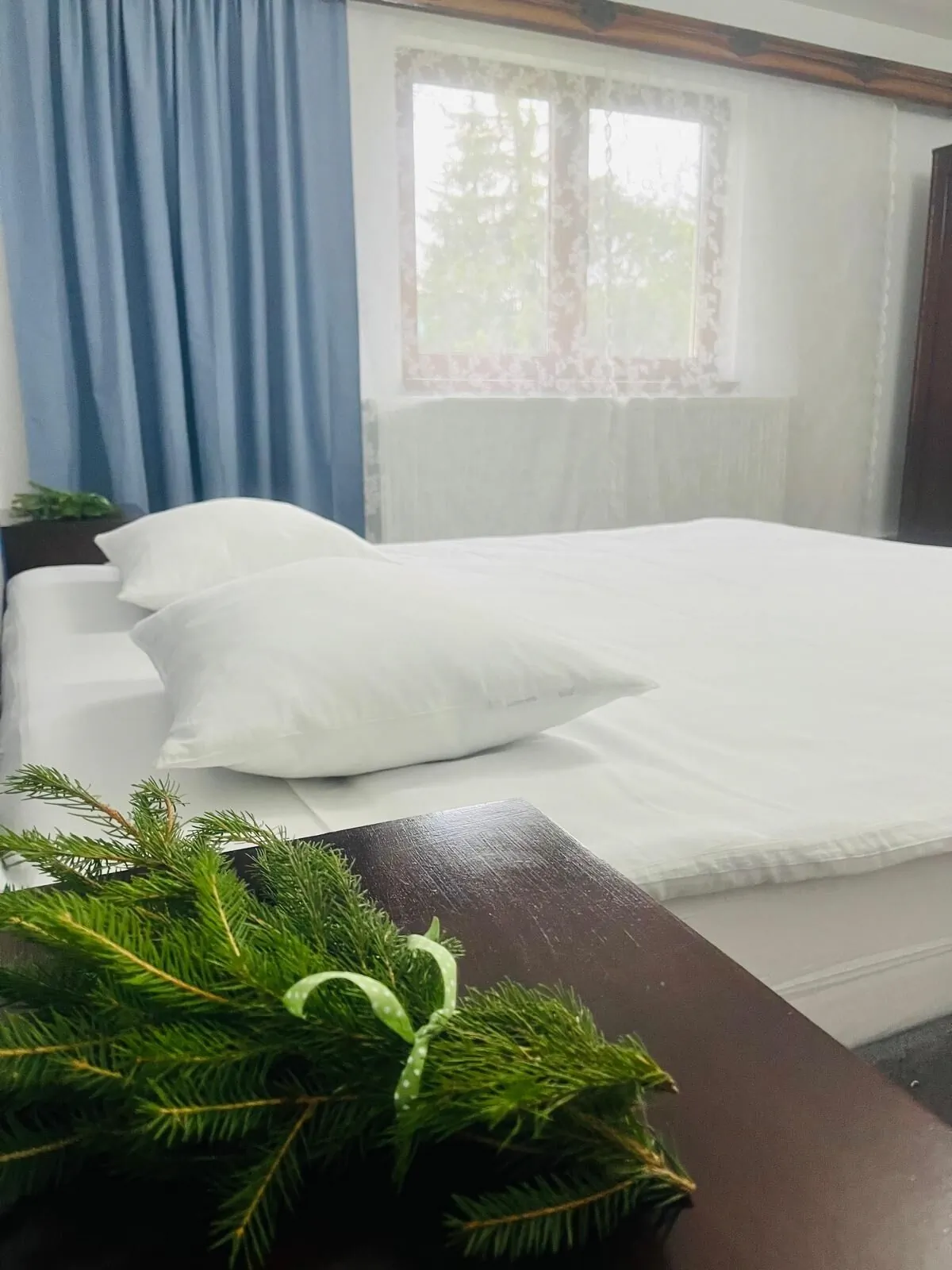 Pensiunea Guest House La TaTa Neagra Șarului