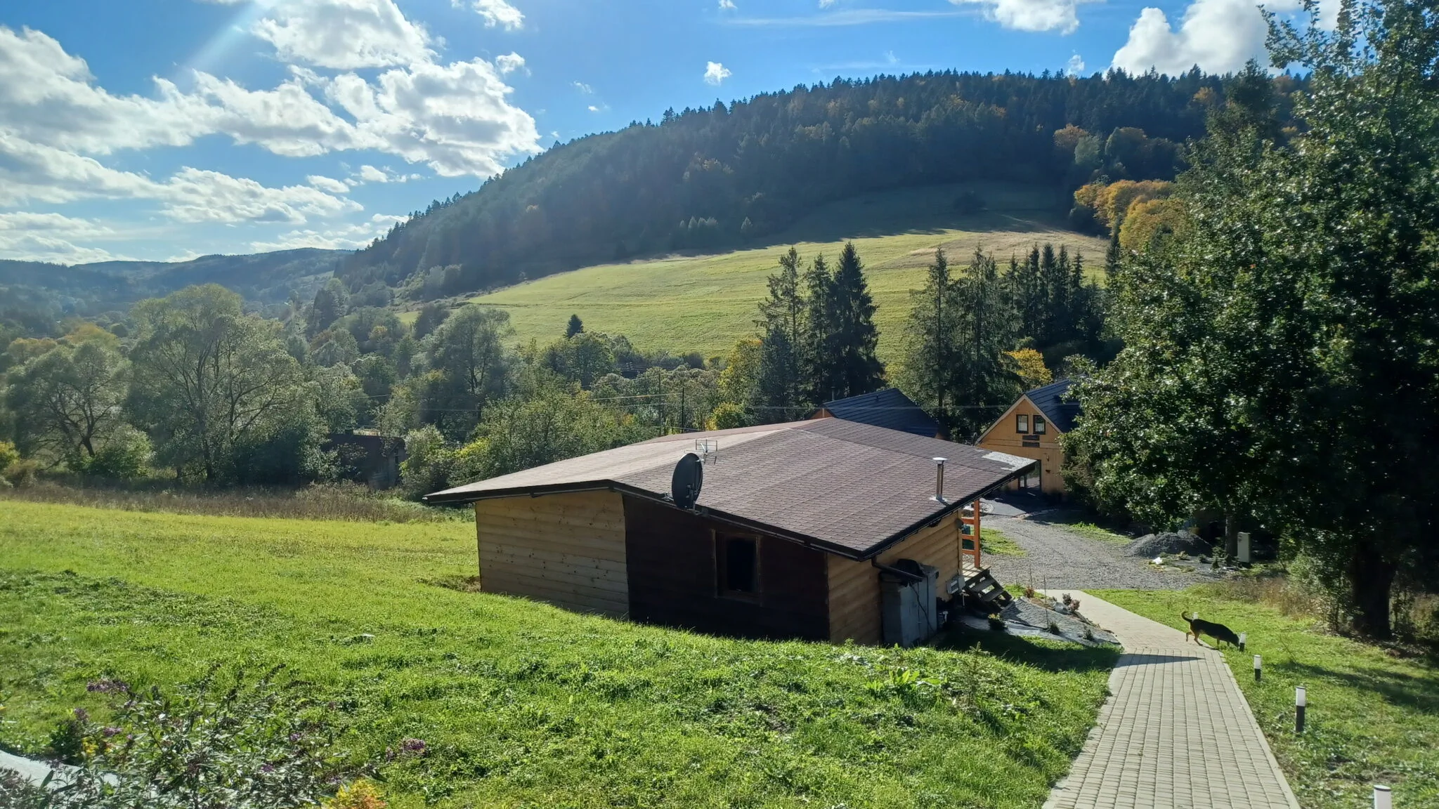 Leśny Dzban Bieszczady / Komańcza