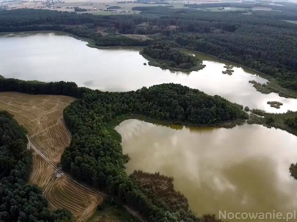 Domki pływające na Jeziorze Smarzewskim Rakowiec