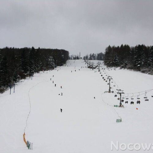 Villa Neve Ustrzyki Dolne