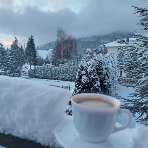 Wichrowe Wzgórze - dom na wyłączność Brenna