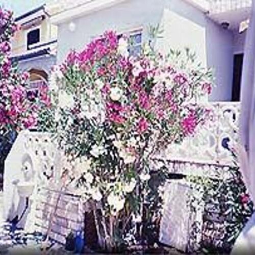 Apartmani Hotic Barbat