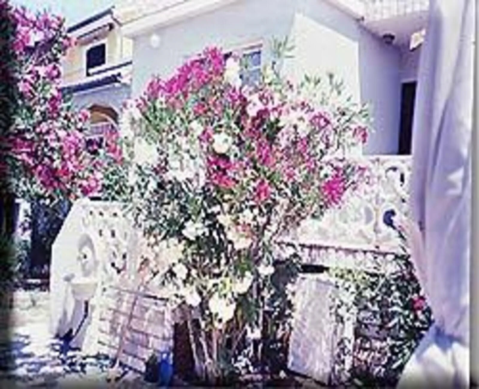 Apartmani Hotic Barbat