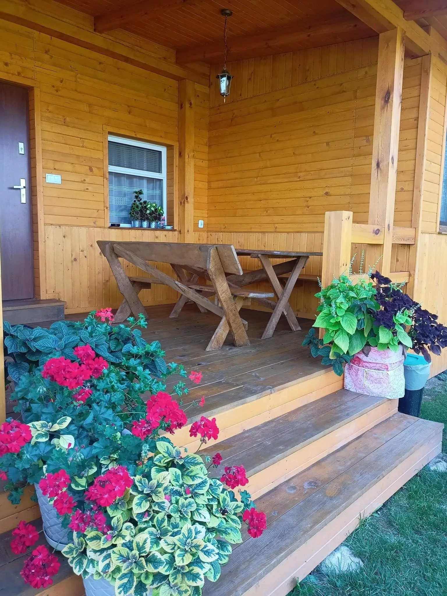 Brzozowy Gaj Orzechów Kolonia