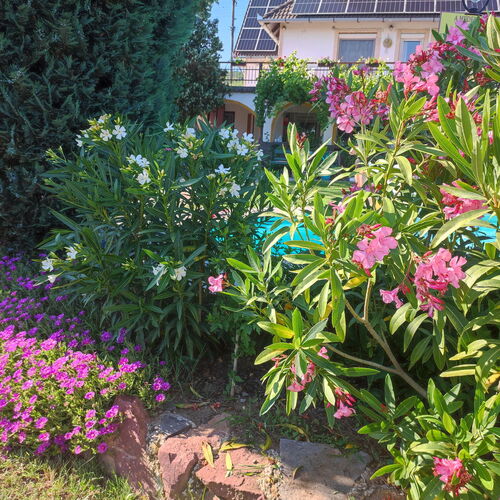 Rozi Garden Vendégház Badacsony  3