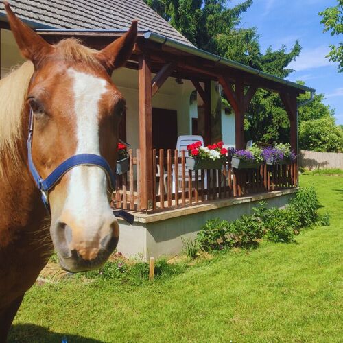 Minor Major Vendégház Somogyacsa