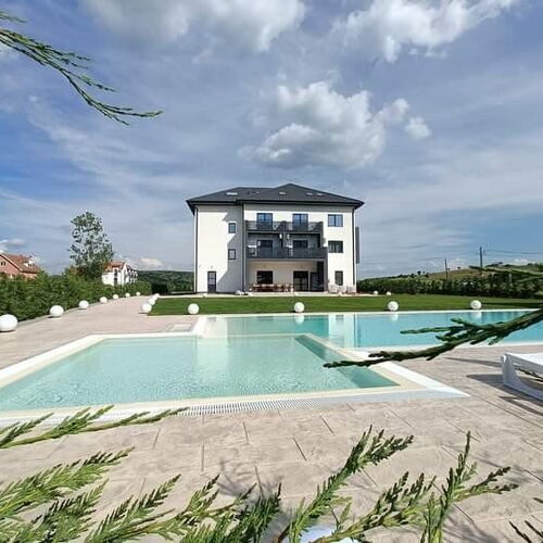 Pensiunea Harmony Băile Felix