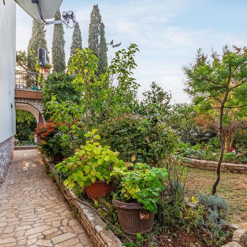 Apartman Premantura - CIA261  4