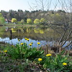 Wellness-Section, Relaxation