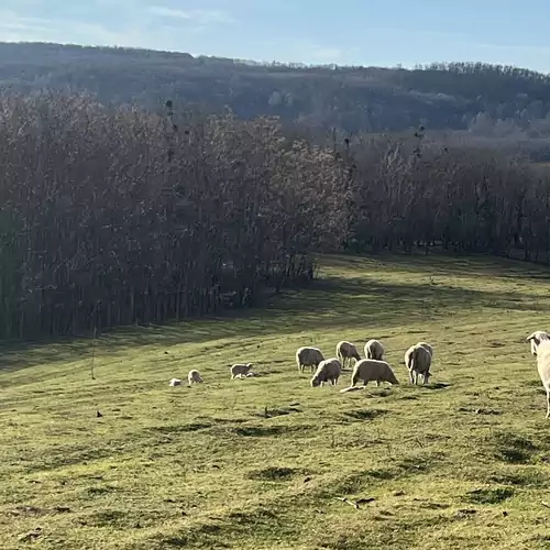Kökényház Vendégház Kötcse 019 kép