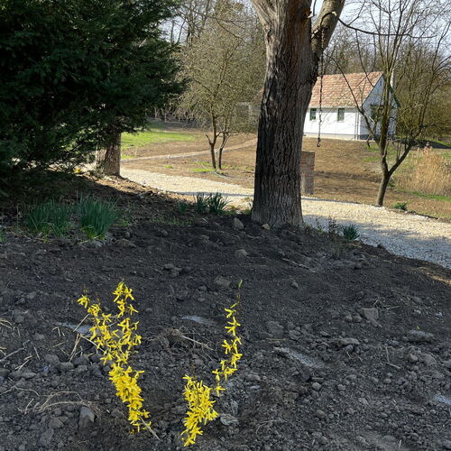 A kert és a Rókalyuk