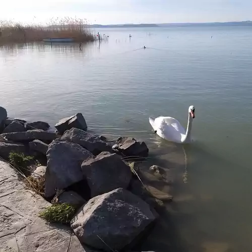 Horgász család Vendégház Siófok 014 kép