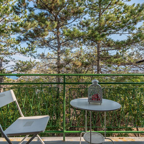 Apartman Novalja - CKP019  4