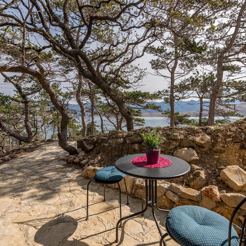 Apartman Novalja - CKP020  2