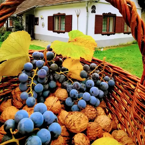 Őrség Kincse Vendégház Hegyhátszentjaka 001 kép